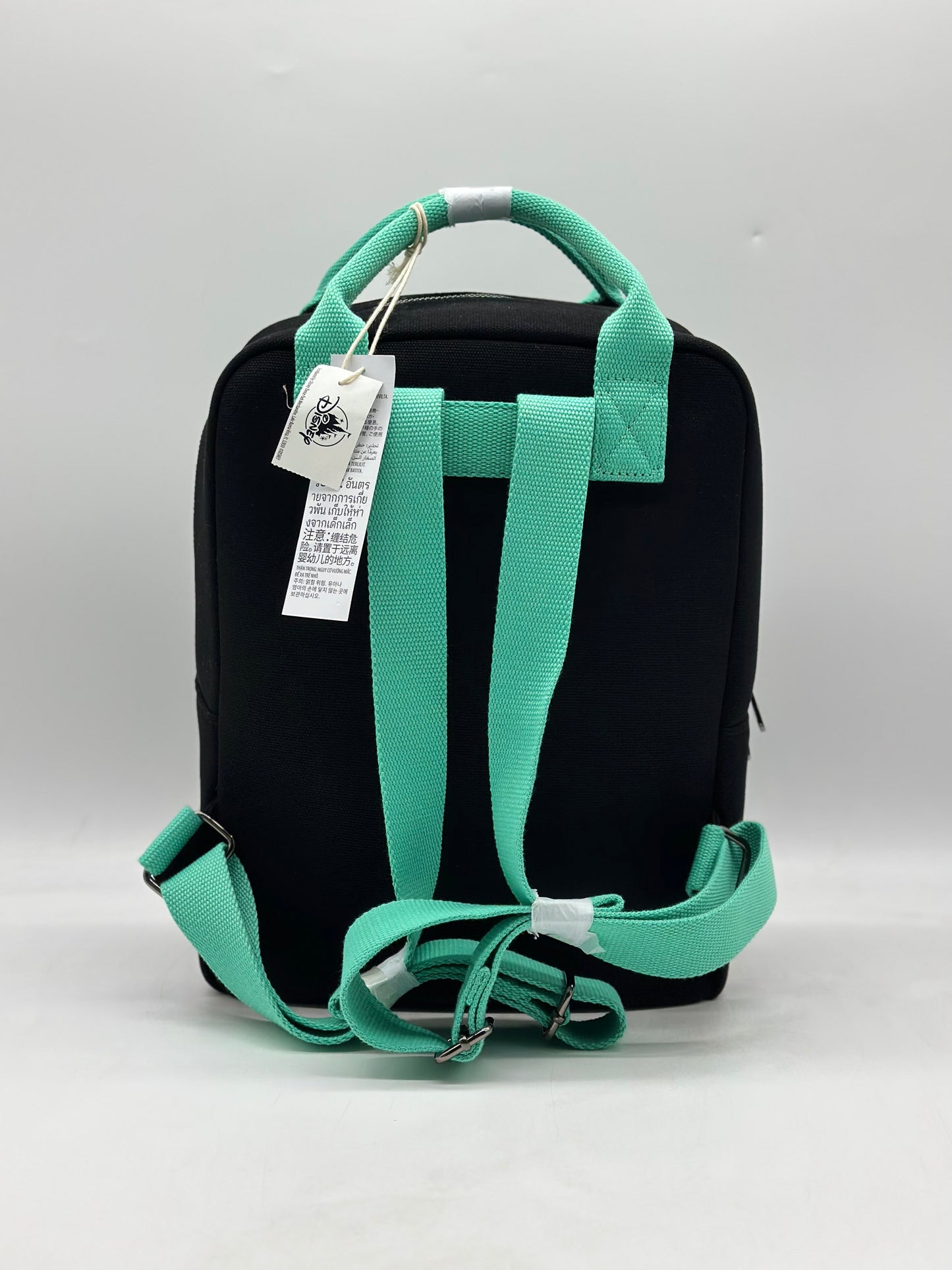 Disney Parks Disneyland Canvas Backpack