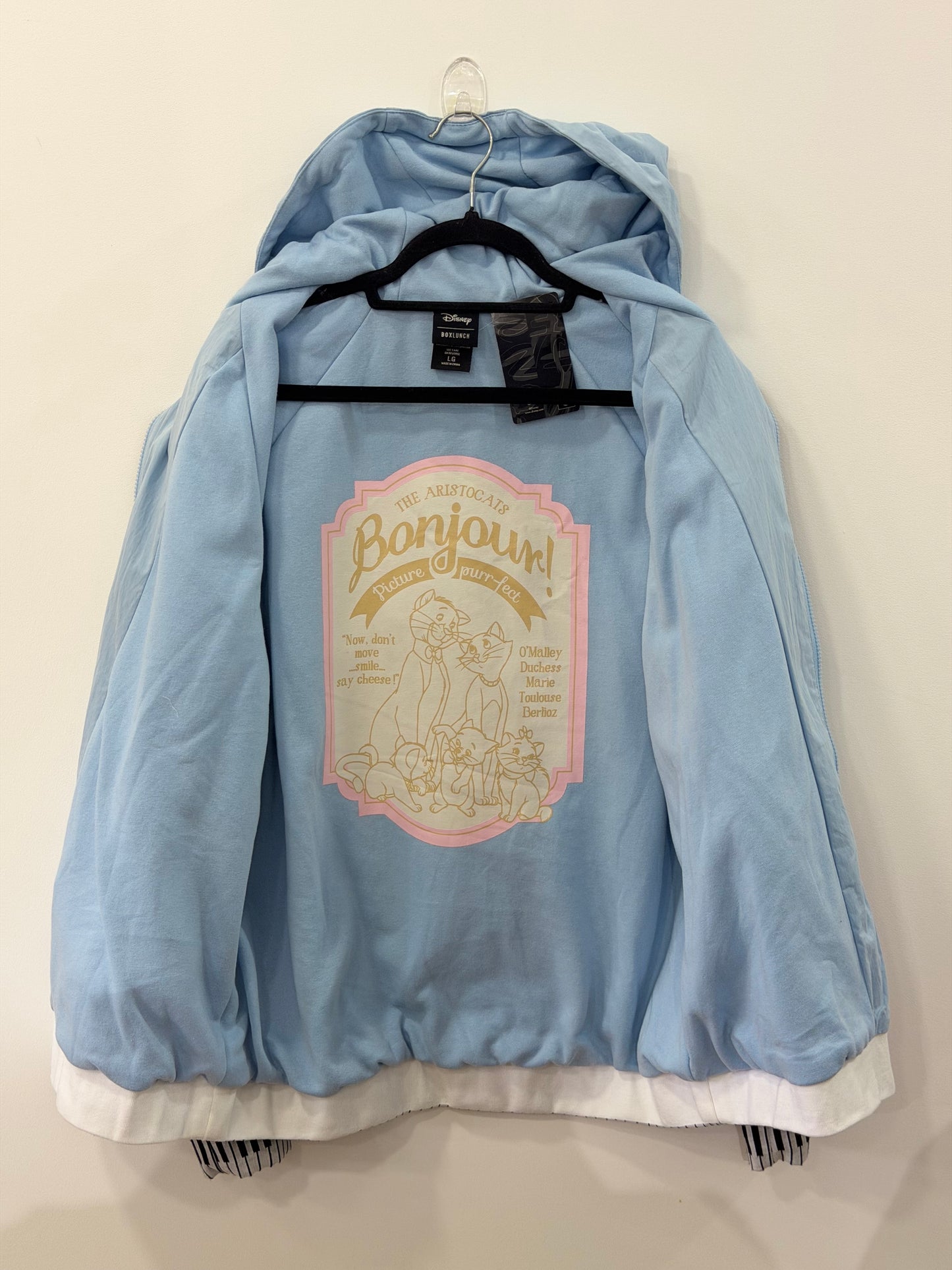 Disney The Aristocats Family Portrait Windbreaker Medium